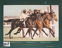 Hotham Handicap Dead Heat - Fighting Force, Ark Royal and Pandie Sun Poster