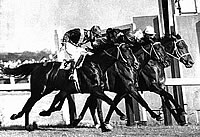 Hotham Handicap Dead Heat - Fighting Force, Ark Royal and Pandie Sun