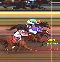 Travers Stakes 2012 Dead Heat - Alpha and Golden Ticket