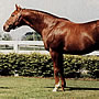 Alydar