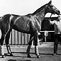 Buckpasser