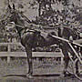 Dan Patch