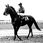 Dr. Fager