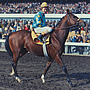 Northern Dancer