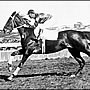 Phar Lap