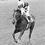 Seattle Slew