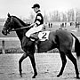 War Admiral