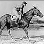 Whirlaway