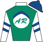 Alto Racing, LLC Silks