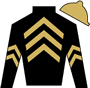 Bluegrass Hall LLC Silks