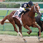 Bold Conquest (Photo by Reed Palmer)