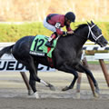 Cairo Prince Photo by Adam Coglianese