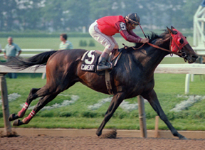 Caveat down the stretch at Belmont in 1983