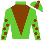 DP Racing, LLC Silks