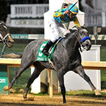 El Kabeir (Photo by Jamie Newell/Horsephotos.com)