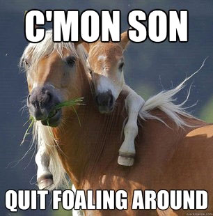 C'mon Son - Quit Foaling Around