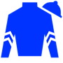 Godolphin Racing LLC Silks