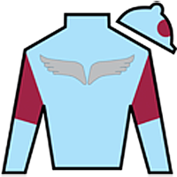 Golden Pegasus Racing Silks