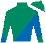 Heinz Steinmann Silks