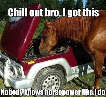 Nobody Knows Horse Power