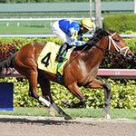 Itsaknockout (Photo by Coglianese Photography)