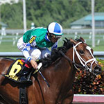 Materiality (Photo by Kenny Martin/Adam Coglianese Photography)