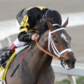 Oxbow Photo Courtesy of Gulfstream Park