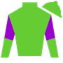 Purple Shamrock Racing  Silks