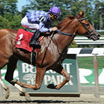 The Truth or Else (NYRA/Adam Coglianese Photography)