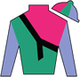 Trilogy Stables Silks