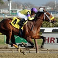 Uncle Sigh Photo by Adam Coglianese