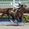 Verrazano Photo By Associated Press / Coglianese Photos