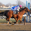 Vyjack Photo by NYRA / Adam Coglianese