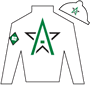 WinStar Farm LLC Silks