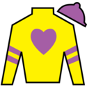 Wounded Warrior Stables Silks