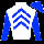 Dublin Silks