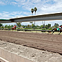 Alameda County Fair