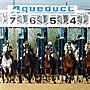 Aqueduct Racetrack