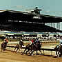 Finger Lakes Gaming and Racetrack