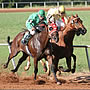 Gillespie County Fair