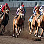 Golden Gate Fields