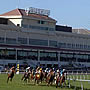 Gulfstream Park