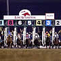 Los Alamitos Race Course