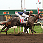 Mountaineer Race Track in Chester, West Virginia