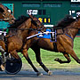 Rosecroft Raceway