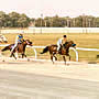 Saginaw Raceway in Saginaw, Michigan