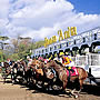 Santa Anita Park