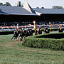 Saratoga Race Course