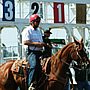 Sonoma County Fair