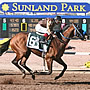 Sunland Park Racetrack and Casino